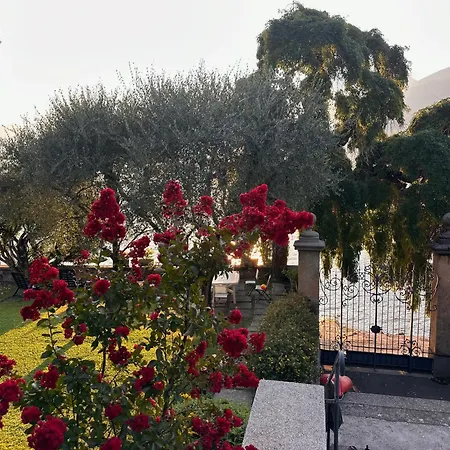 Vica - By Myhomeincomo Musso