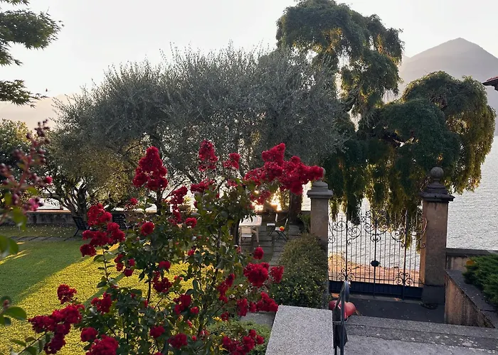 Vica - By Myhomeincomo Musso